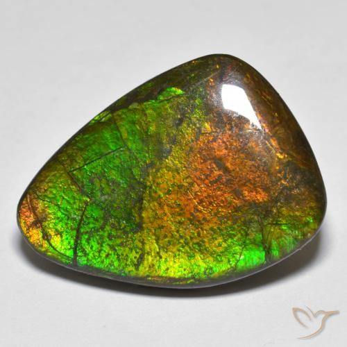 16.66ct Naturale Multicolore Ammolite, Taglio a fantasia, Opaco