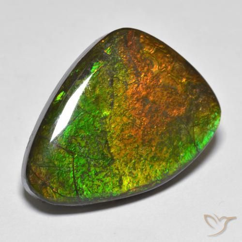 Ammolite Multicolore naturale da 16.66 ct, Taglio a fantasia, Opaco