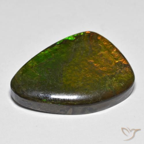 Ammolite Multicolore naturale da 16.66 ct, Taglio a fantasia, Opaco