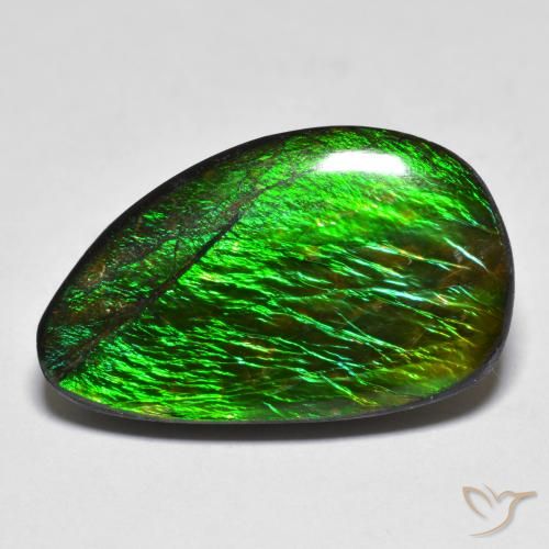 12.81ct Naturale Multicolore Ammolite, Taglio a fantasia, Opaco