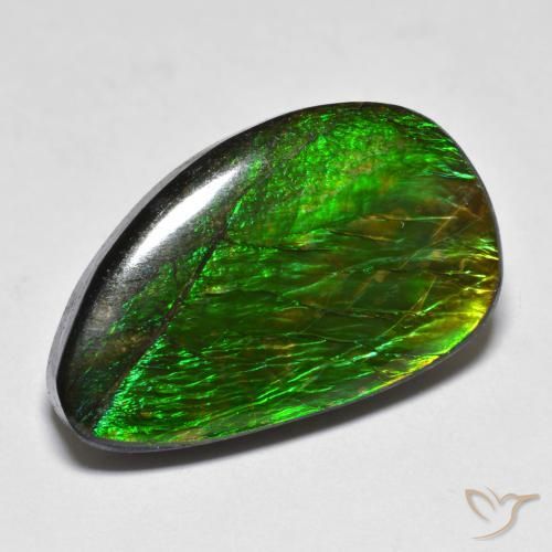 Ammolite Multicolore naturale da 12.81 ct, Taglio a fantasia, Opaco
