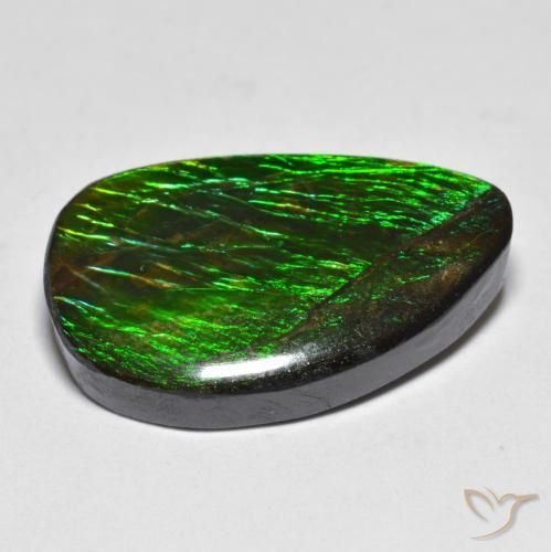 Ammolite Multicolore naturale da 12.81 ct, Taglio a fantasia, Opaco