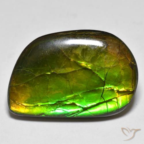 16.89ct Naturale Multicolore Ammolite, Taglio a fantasia, Opaco