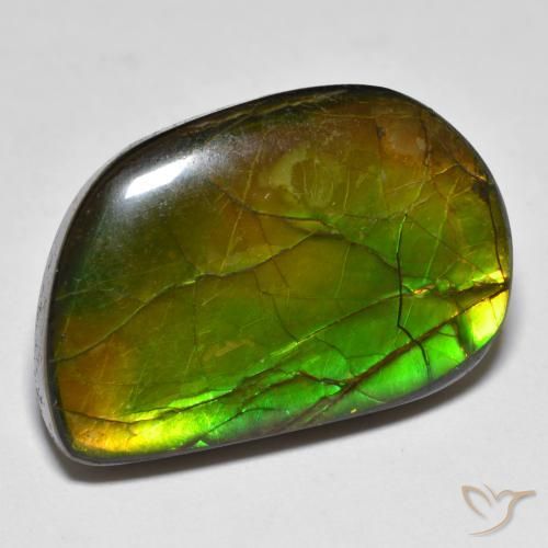 Ammolite Multicolore naturale da 16.89 ct, Taglio a fantasia, Opaco