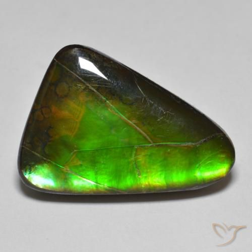 15.34ct Naturale Multicolore Ammolite, Taglio a fantasia, Opaco