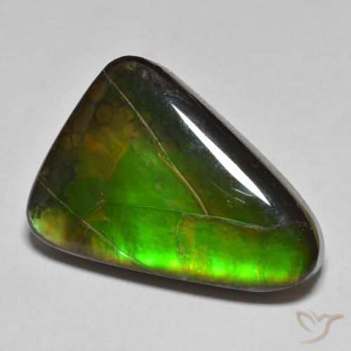 Ammolite Multicolore naturale da 15.34 ct, Taglio a fantasia, Opaco