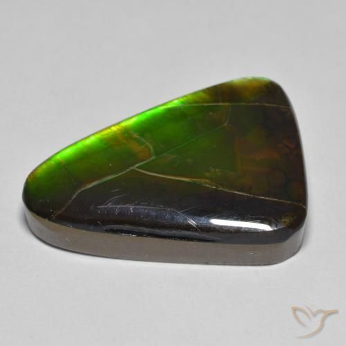 Ammolite Multicolore naturale da 15.34 ct, Taglio a fantasia, Opaco