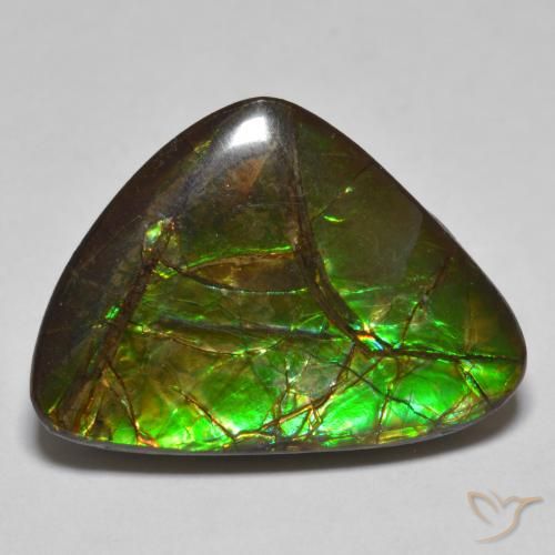 10.78ct Naturale Multicolore Ammolite, Taglio a fantasia, Opaco