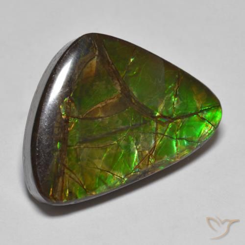 Ammolite Multicolore naturale da 10.78 ct, Taglio a fantasia, Opaco