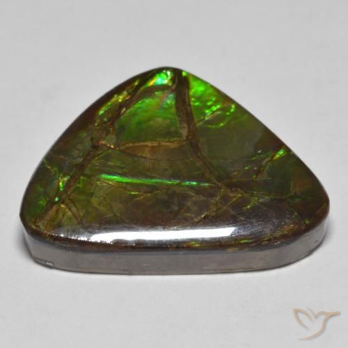 Ammolite Multicolore naturale da 10.78 ct, Taglio a fantasia, Opaco