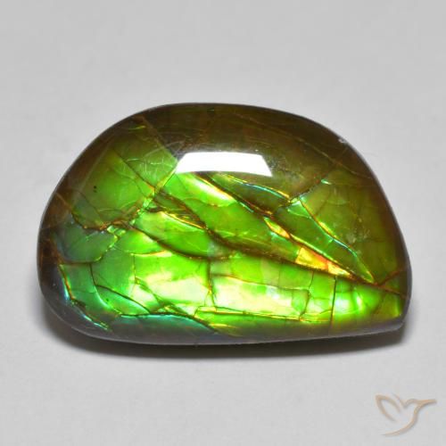11.66ct Naturale Multicolore Ammolite, Taglio a fantasia, Opaco