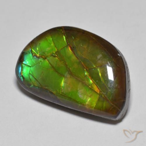 Ammolite Multicolore naturale da 11.66 ct, Taglio a fantasia, Opaco