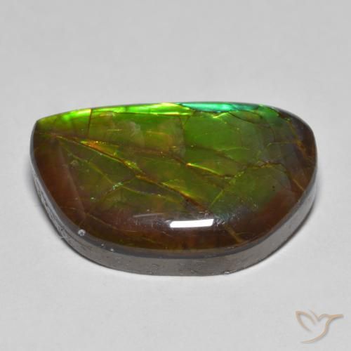 Ammolite Multicolore naturale da 11.66 ct, Taglio a fantasia, Opaco