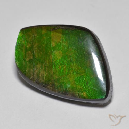 Ammolite Multicolore naturale da 11.78 ct, Taglio a fantasia, Opaco