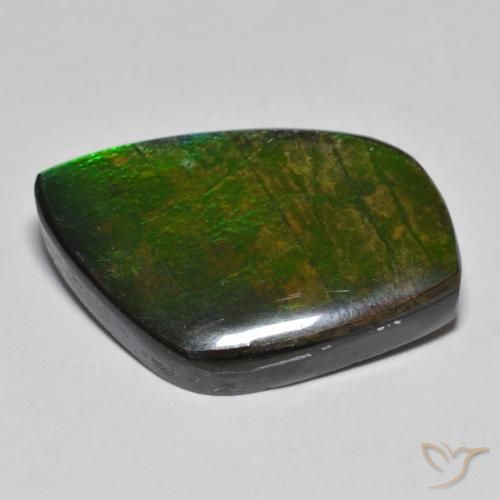 Ammolite Multicolore naturale da 11.78 ct, Taglio a fantasia, Opaco