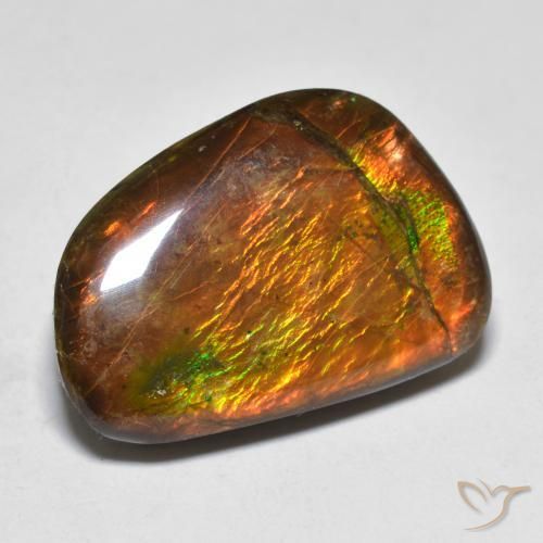 16.39ct Naturale Multicolore Ammolite, Taglio a fantasia, Opaco