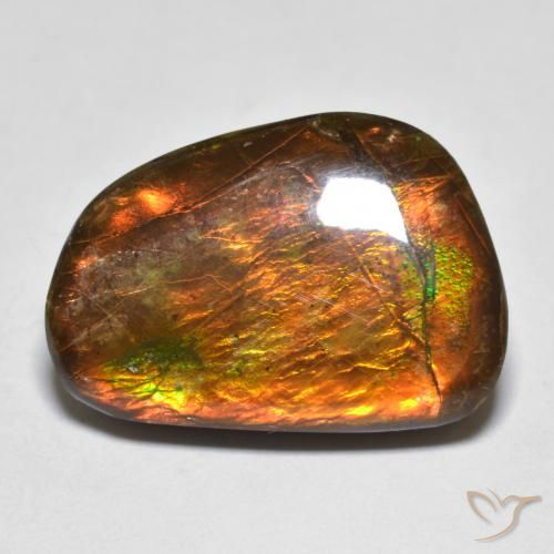 Ammolite Multicolore naturale da 16.39 ct, Taglio a fantasia, Opaco