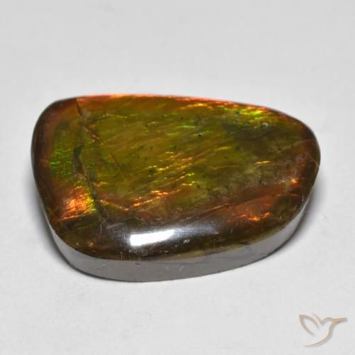 Ammolite Multicolore naturale da 16.39 ct, Taglio a fantasia, Opaco