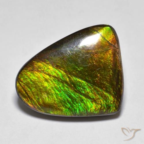 10.20ct Naturale Multicolore Ammolite, Taglio a fantasia, Opaco