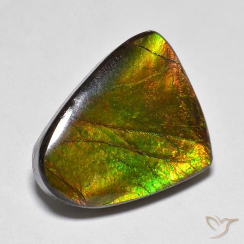Ammolite Multicolore naturale da 10.20 ct, Taglio a fantasia, Opaco