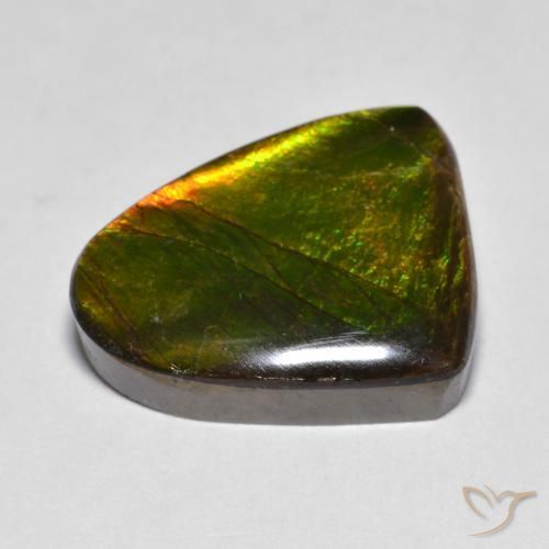 Ammolite Multicolore naturale da 10.20 ct, Taglio a fantasia, Opaco