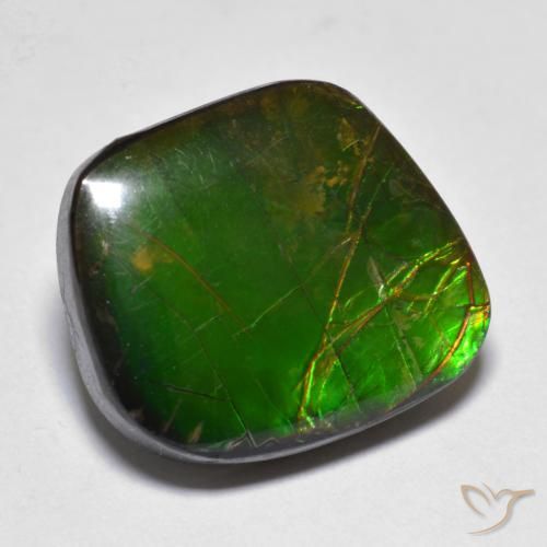 Ammolite Multicolore naturale da 11.10 ct, Taglio a fantasia, Opaco