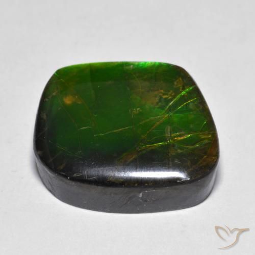 Ammolite Multicolore naturale da 11.10 ct, Taglio a fantasia, Opaco