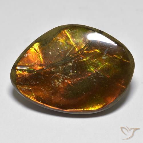 20.29ct Naturale Multicolore Ammolite, Taglio a fantasia, Opaco