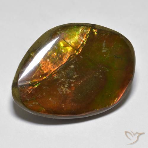 Ammolite Multicolore naturale da 20.29 ct, Taglio a fantasia, Opaco