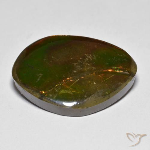 Ammolite Multicolore naturale da 20.29 ct, Taglio a fantasia, Opaco