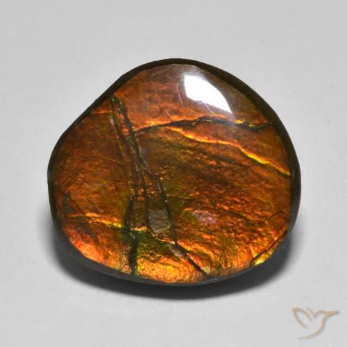 11.11ct Naturale Multicolore Ammolite, Taglio a fantasia, Opaco