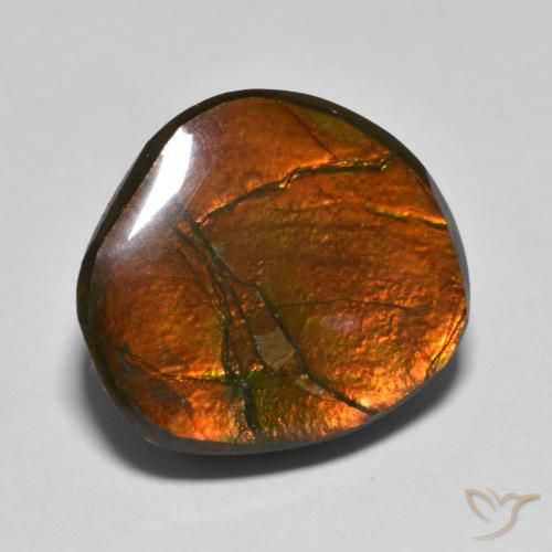 Ammolite Multicolore naturale da 11.11 ct, Taglio a fantasia, Opaco