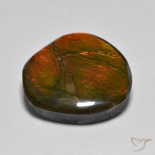 Ammolite Multicolore naturale da 11.11 ct, Taglio a fantasia, Opaco