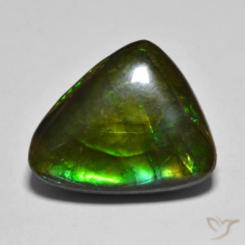 12.07ct Naturale Multicolore Ammolite, Taglio a fantasia, Opaco
