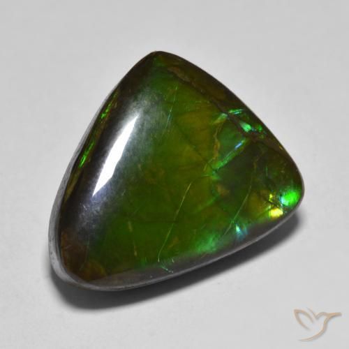 Ammolite Multicolore naturale da 12.07 ct, Taglio a fantasia, Opaco