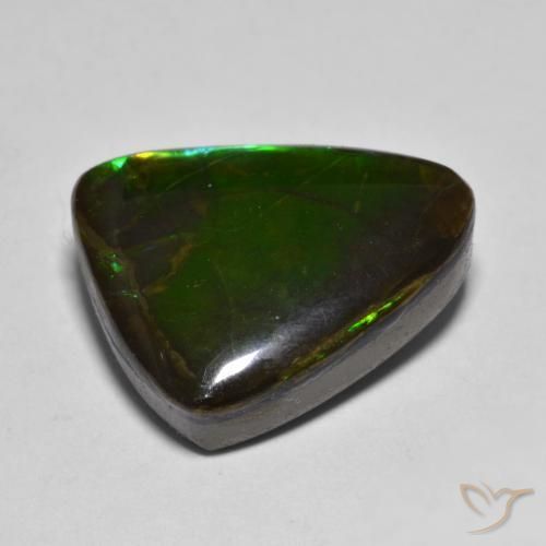 Ammolite Multicolore naturale da 12.07 ct, Taglio a fantasia, Opaco
