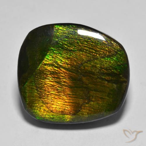 15.88ct Naturale Multicolore Ammolite, Taglio a fantasia, Opaco