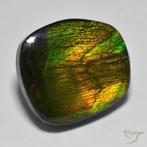 Ammolite Multicolore naturale da 15.88 ct, Taglio a fantasia, Opaco