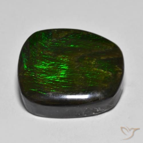 Ammolite Multicolore naturale da 15.88 ct, Taglio a fantasia, Opaco