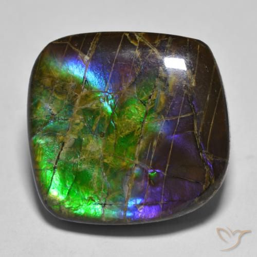 19.25ct Naturale Multicolore Ammolite, Taglio a fantasia, Opaco