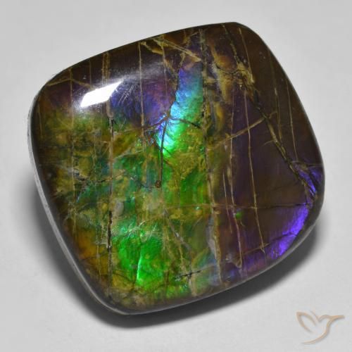 Ammolite Multicolore naturale da 19.25 ct, Taglio a fantasia, Opaco