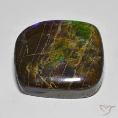 Ammolite Multicolore naturale da 19.25 ct, Taglio a fantasia, Opaco