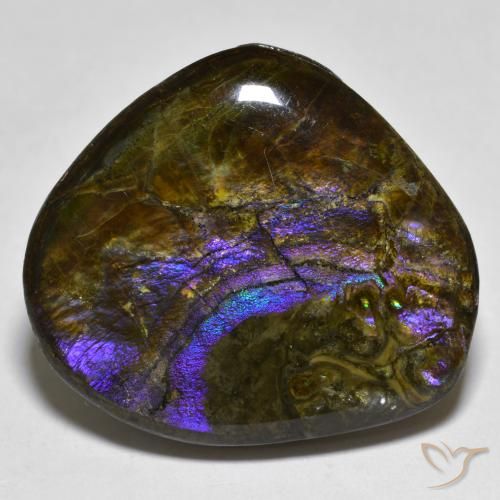 20.55ct Naturale Multicolore Ammolite, Taglio a fantasia, Opaco