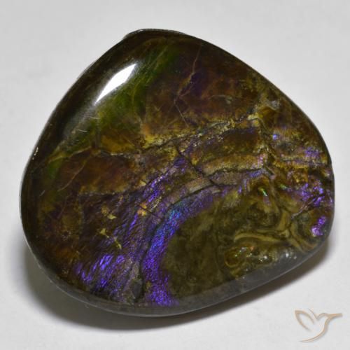 Ammolite Multicolore naturale da 20.55 ct, Taglio a fantasia, Opaco