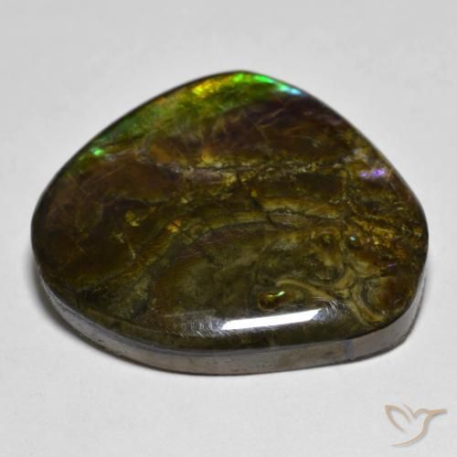 Ammolite Multicolore naturale da 20.55 ct, Taglio a fantasia, Opaco