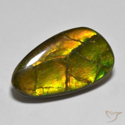 12.63ct Naturale Multicolore Ammolite, Taglio a fantasia, Opaco