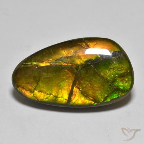 Ammolite Multicolore naturale da 12.63 ct, Taglio a fantasia, Opaco