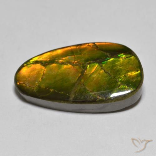 Ammolite Multicolore naturale da 12.63 ct, Taglio a fantasia, Opaco