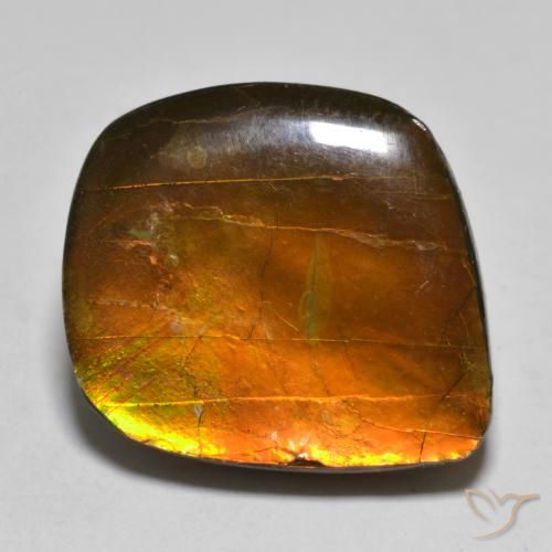 16.24ct Naturale Multicolore Ammolite, Taglio a fantasia, Opaco
