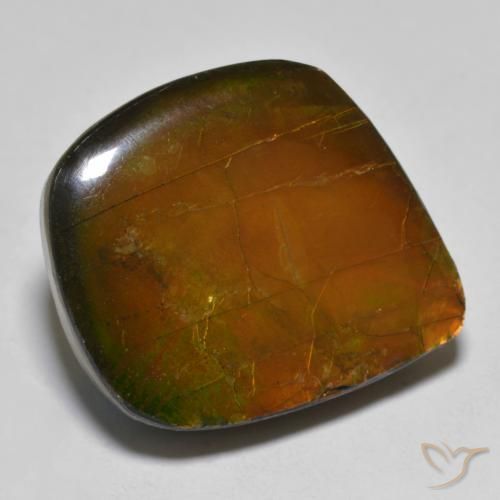 Ammolite Multicolore naturale da 16.24 ct, Taglio a fantasia, Opaco